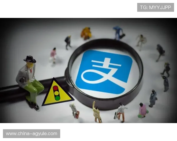 ag旗舰厅平台支持多种支付方式，保障玩家资金安全与便捷充值体验